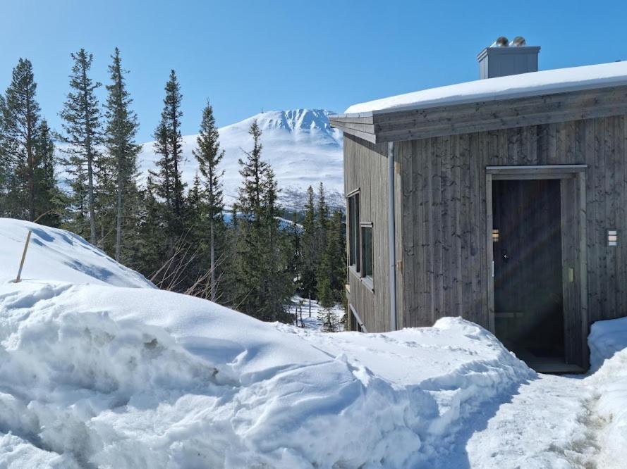 Ny Leilighet Med Flott Utsikt Til Gaustatoppen Rjukan Exterior foto