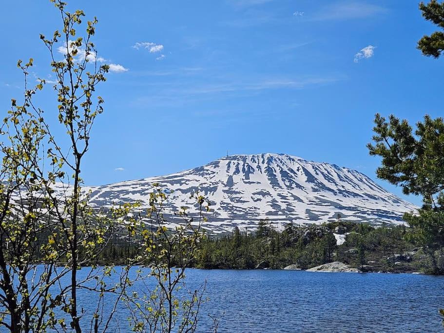 Ny Leilighet Med Flott Utsikt Til Gaustatoppen Rjukan Exterior foto